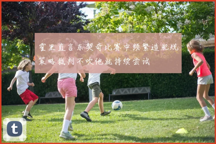 霍里直言东契奇比赛中频繁造犯规策略裁判不吹他就持续尝试
